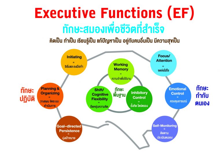 อบรมครูปฐมวัย หัวข้อ การพัฒนาทักษะสมอง EF