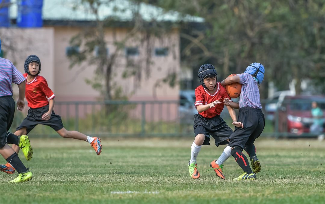 335365610 952107975919227 4158074306672014293 N