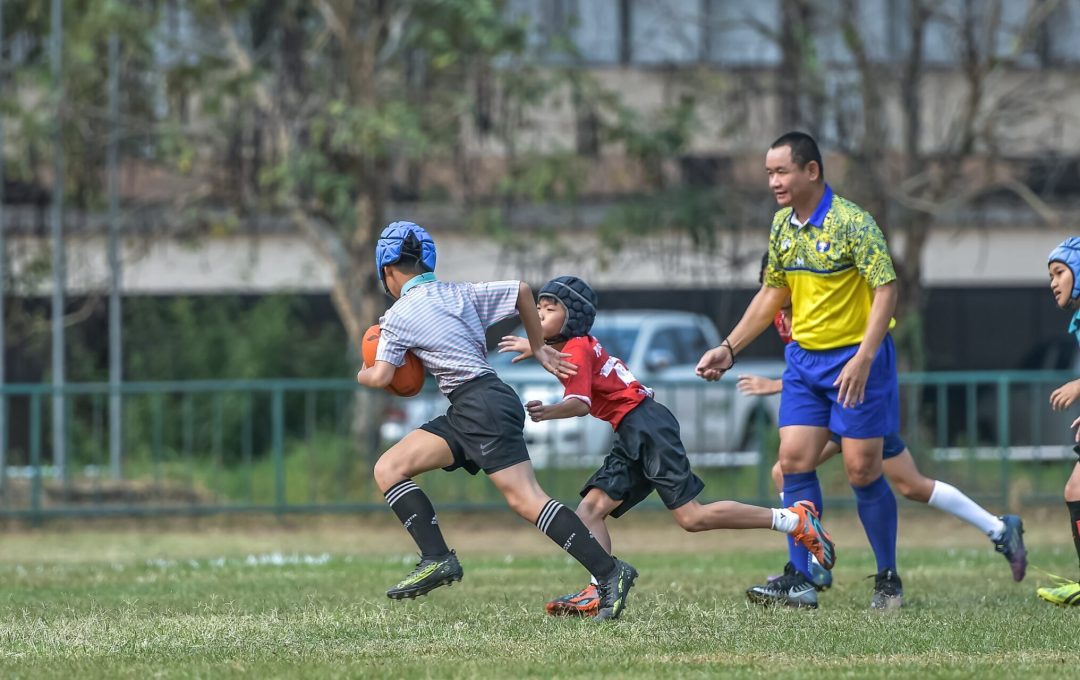 335398692 162486549948478 212460529526927063 N