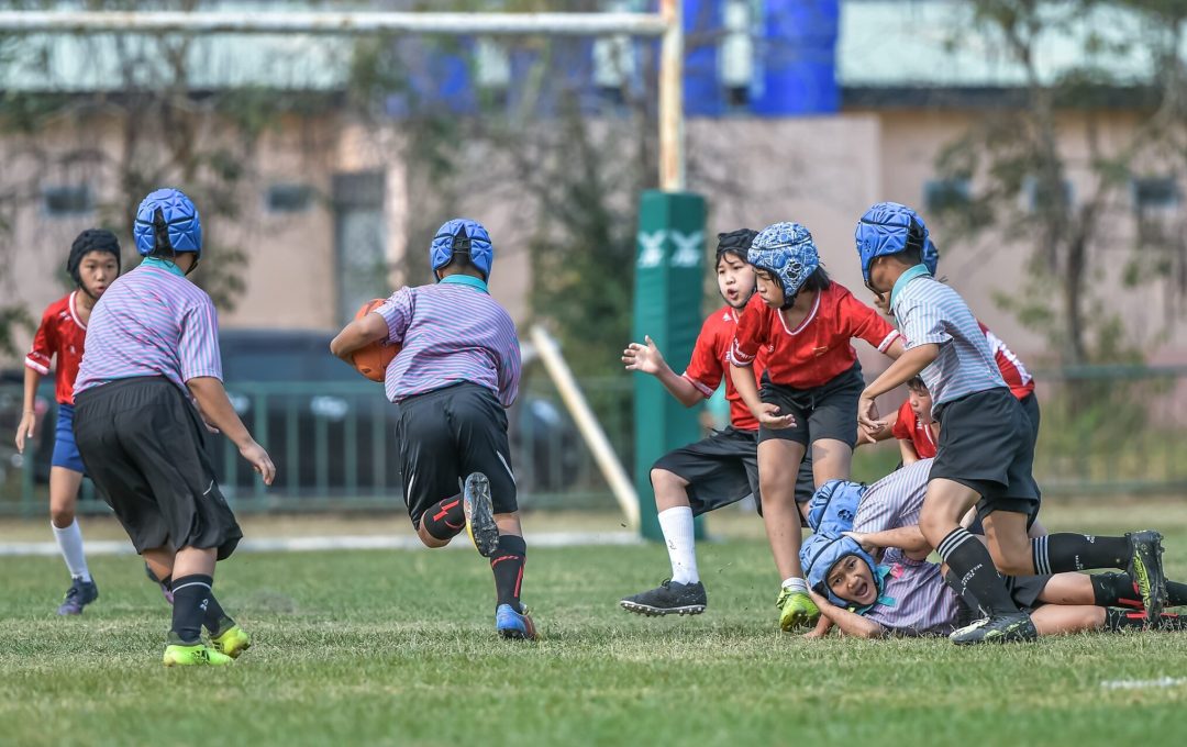 335451988 512569544176125 8339477607564606803 N