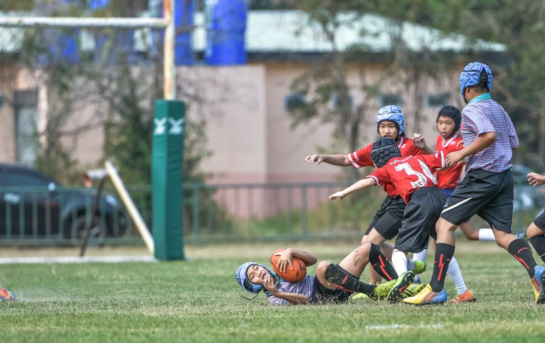 335481115 3534350453476870 7053543135659162689 N