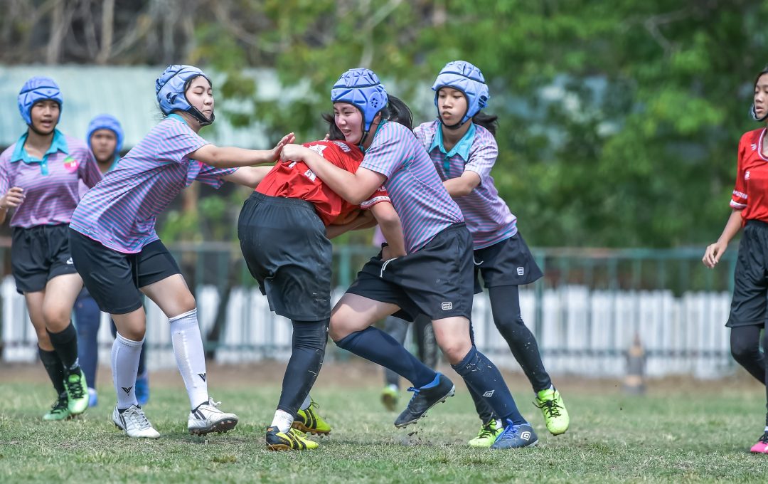 335483946 3411349309076410 5668654766567544955 N