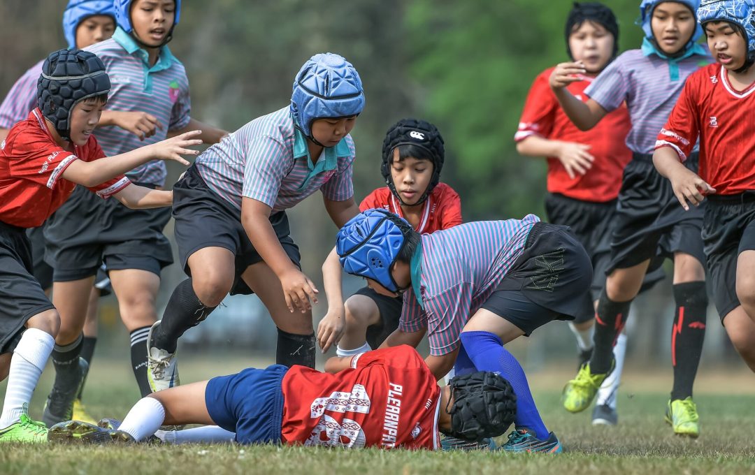 335634811 925810371939415 3447012093691312714 N