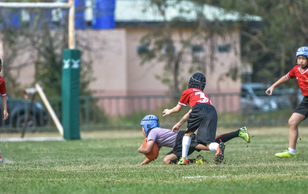 335655881 714587273693258 6980112318263385366 N