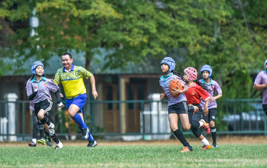 335669613 607211164190252 2347808354664814131 N