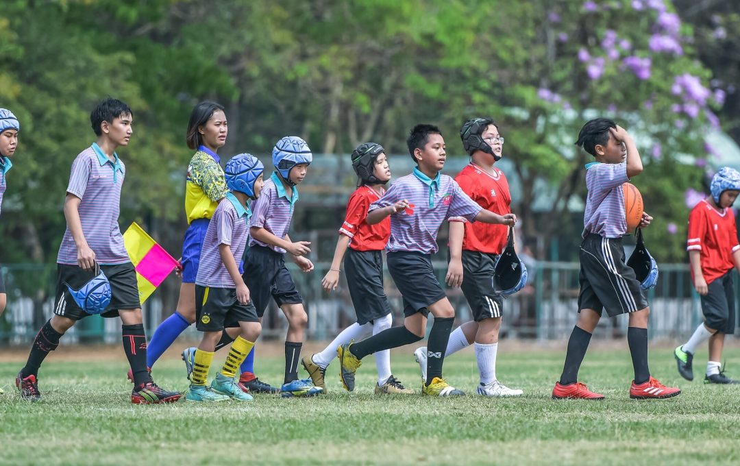 335933296 1015408539437691 8081825767859148194 N